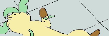 bunnysgocrazy banner