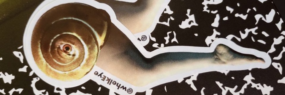 Whelk Eye 🐌👁 banner
