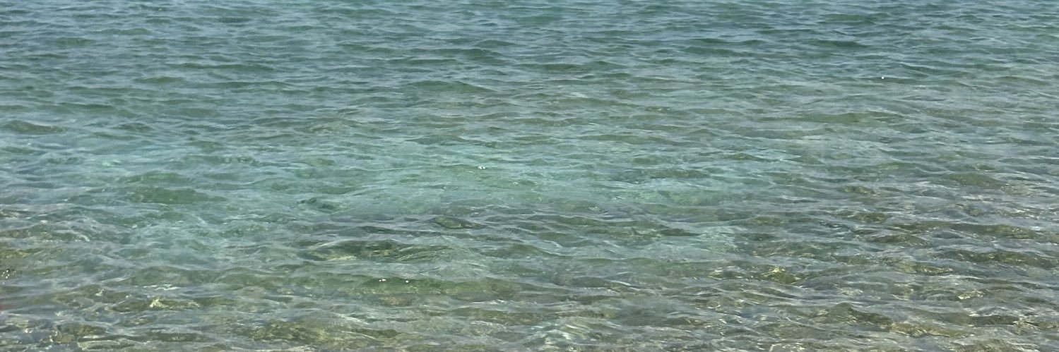 danielanestola's profile banner image