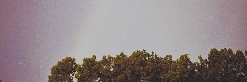 belenchilla2's profile banner image