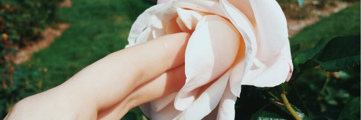 FalSetto_Prince's profile banner image