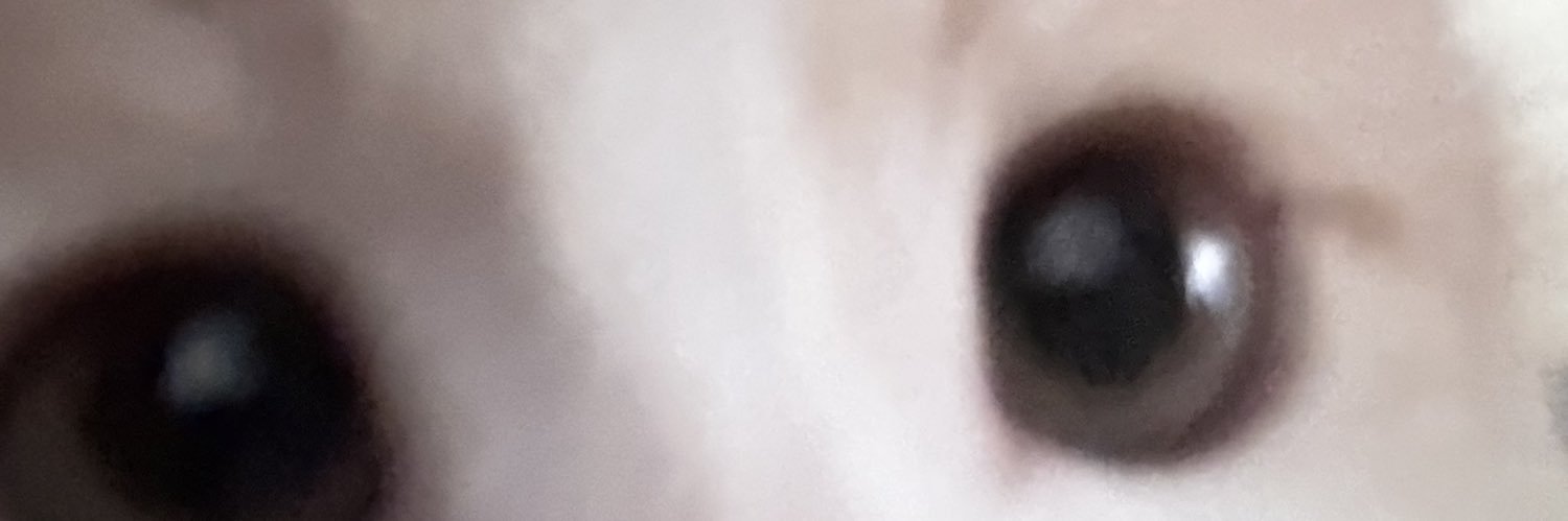 chokimn's profile banner image