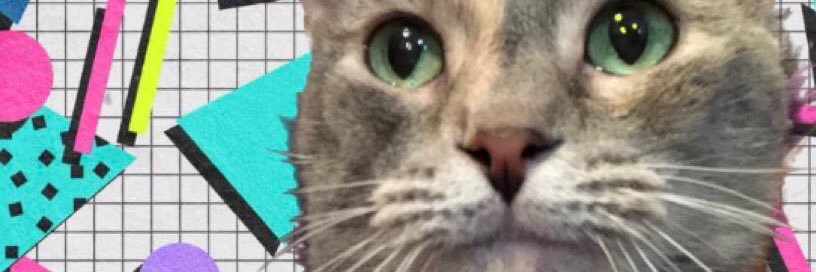 Nya ⁷ banner