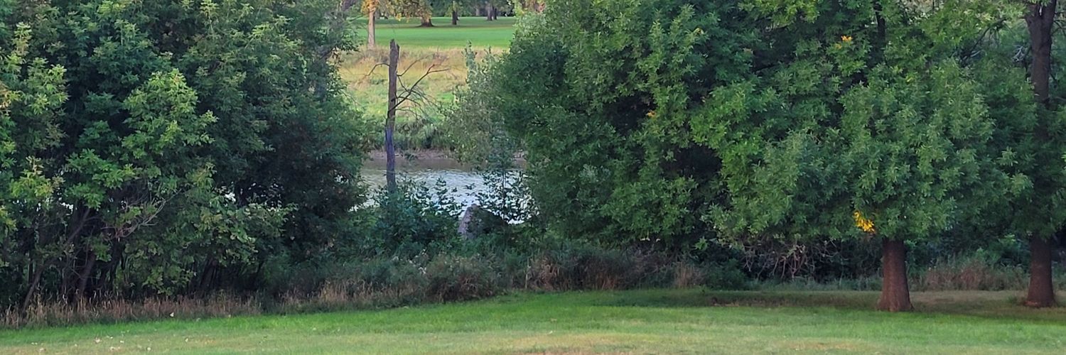 Tim Abbott ⚽🐝🏴󠁧󠁢󠁥󠁮󠁧󠁿🇺🇸 banner