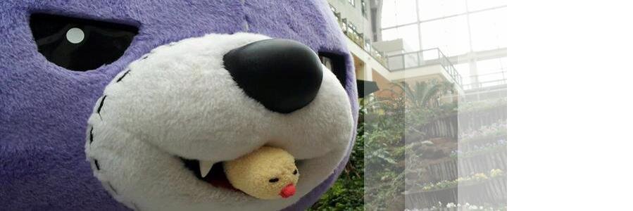 iotakuya's profile banner image