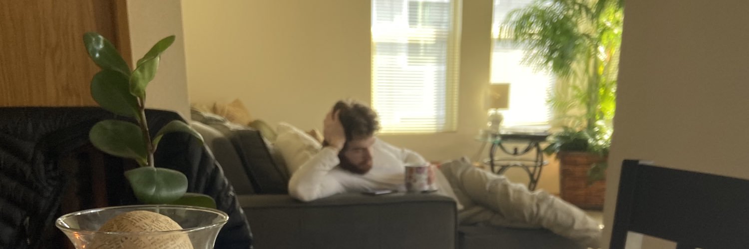 brebolves's profile banner image
