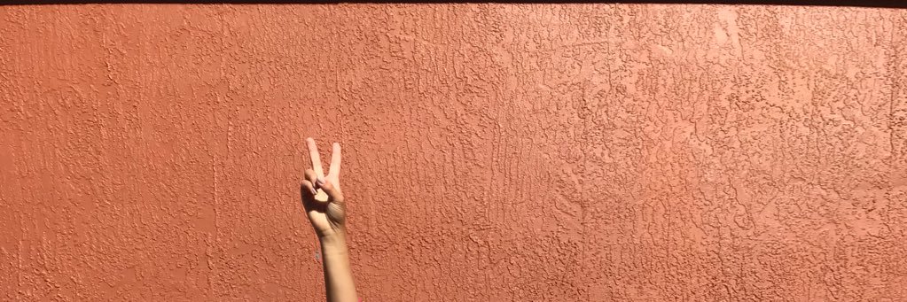 Ms_Alondruuh's profile banner image