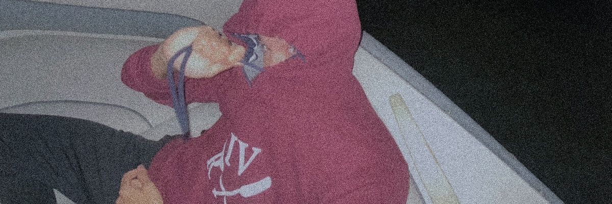 En____VP banner