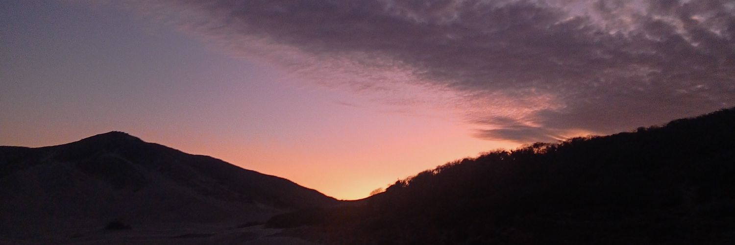 _FridaPin's profile banner image