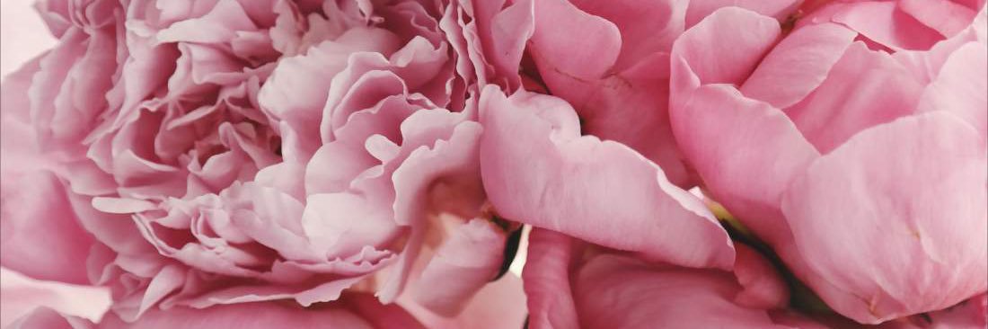 alexaedwards's profile banner image
