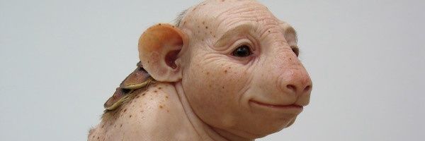 Coprolito's profile banner image