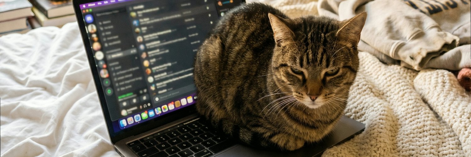 sofiethinks's profile banner image