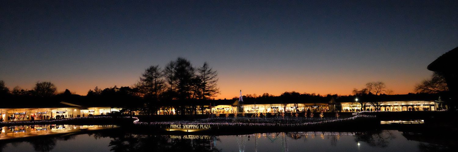 This is a tree hole. banner