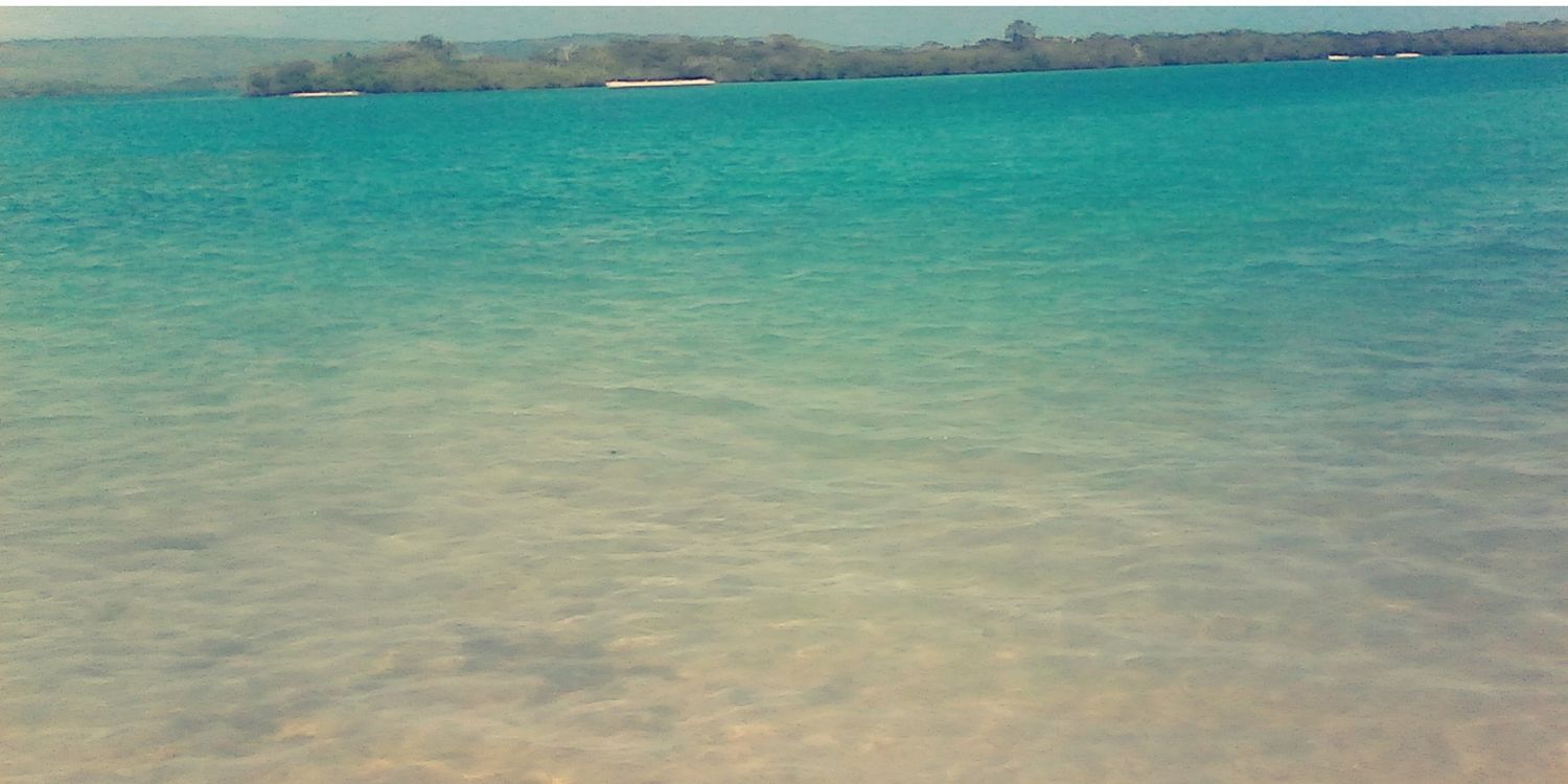 luzmarvez_'s profile banner image