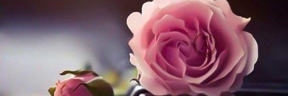 kh139422's profile banner image