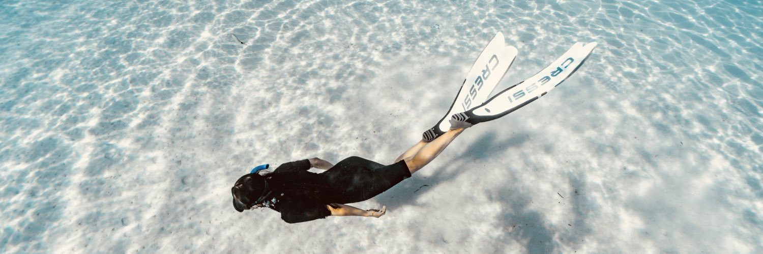 itsqueenlissa's profile banner image