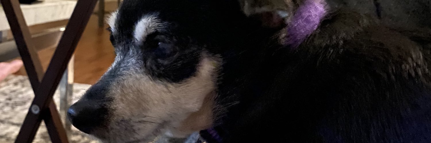 riffwaff's profile banner image