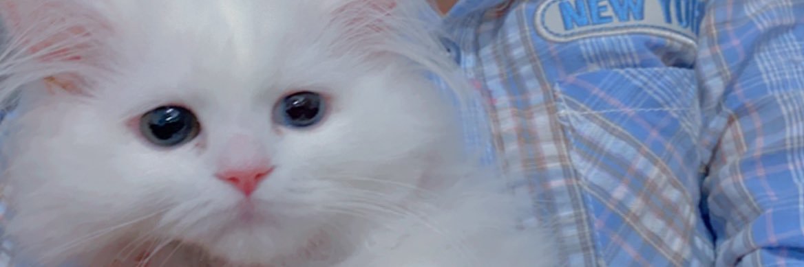 k_ook's profile banner image