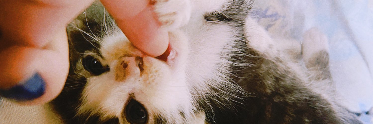 kiutluu's profile banner image