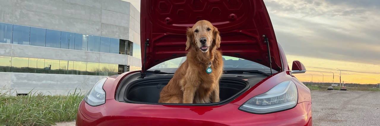 A Tesla Fan banner