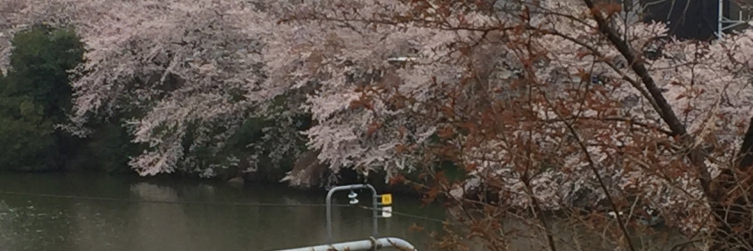 ooinari's profile banner image