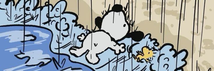 rshntadv's profile banner image