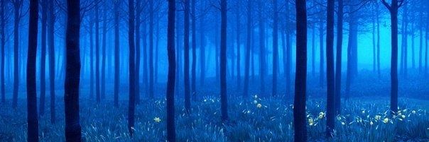 mor_gm's profile banner image