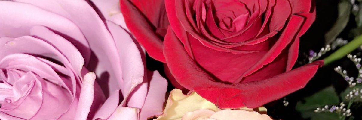 brijoyce1997's profile banner image
