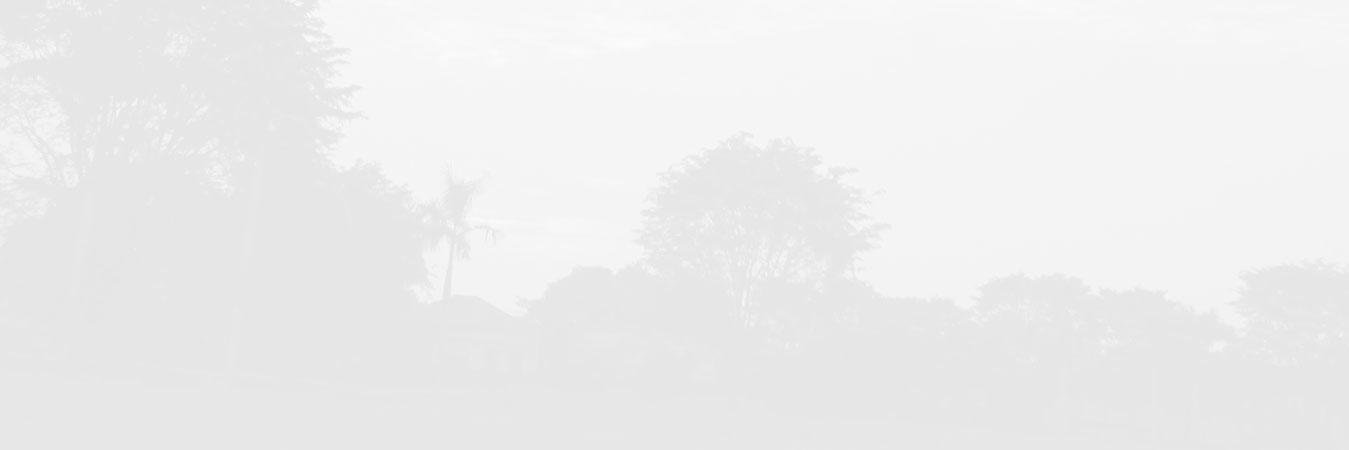 MohamedAlasmari's profile banner image