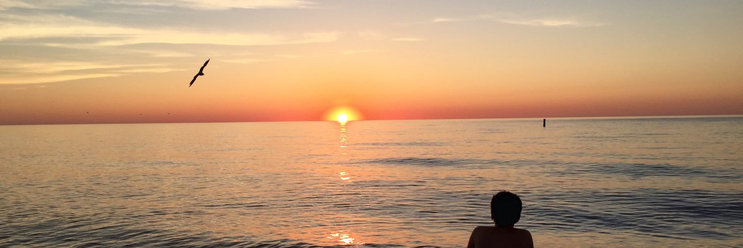 Shellkturner's profile banner image