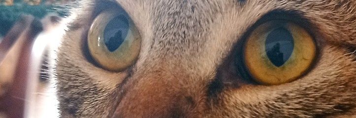 Stephanbk96's profile banner image
