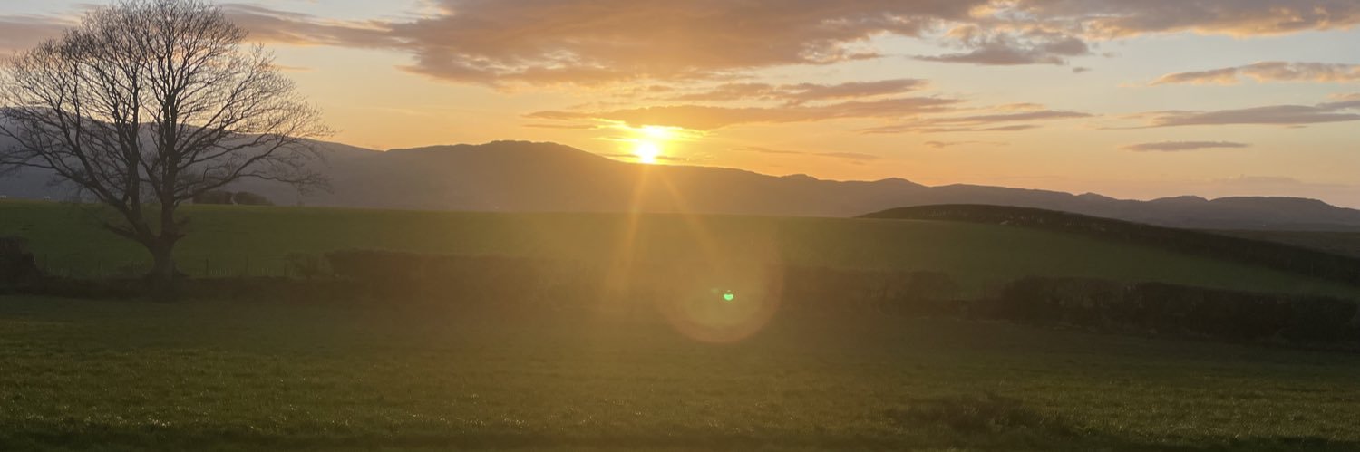 OMaraBarry's profile banner image