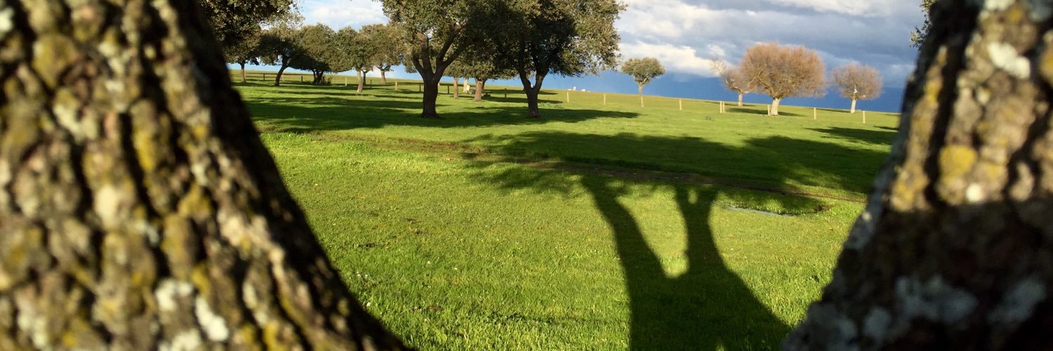 lostalayos's profile banner image