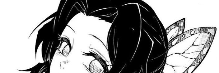 sleepyhead banner