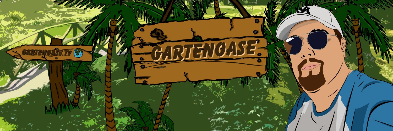 🌴 ScriptOase 🦩 banner