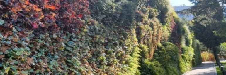 Clara I. Gonzalez banner