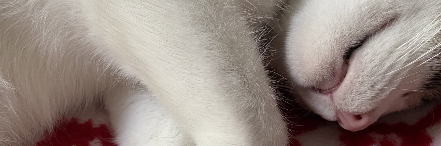 Clouds_16's profile banner image