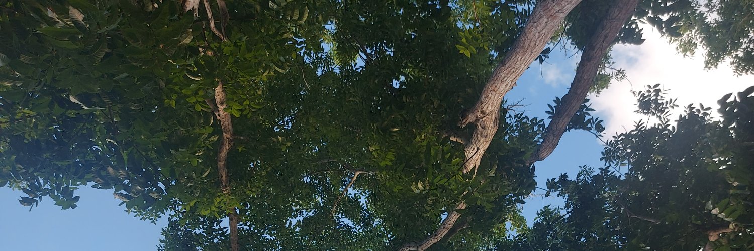 AnnaSlater's profile banner image