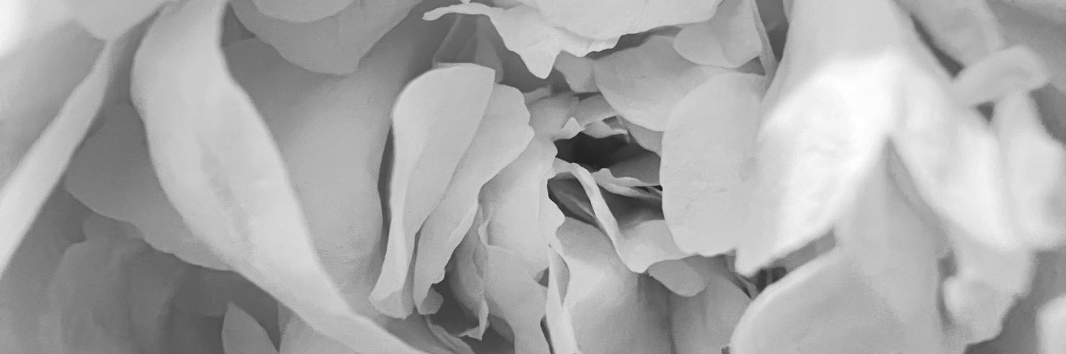 _enomys_'s profile banner image