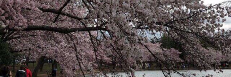 saaa12340's profile banner image