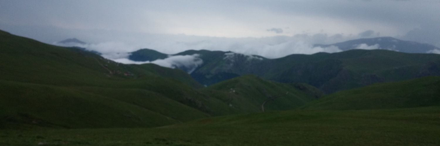 nonsleepper's profile banner image