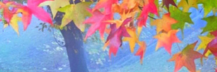 mo_ny0's profile banner image