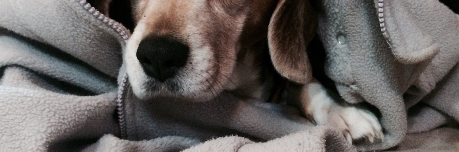 vazquezchenlo's profile banner image