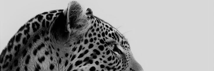 Ziy5_19's profile banner image