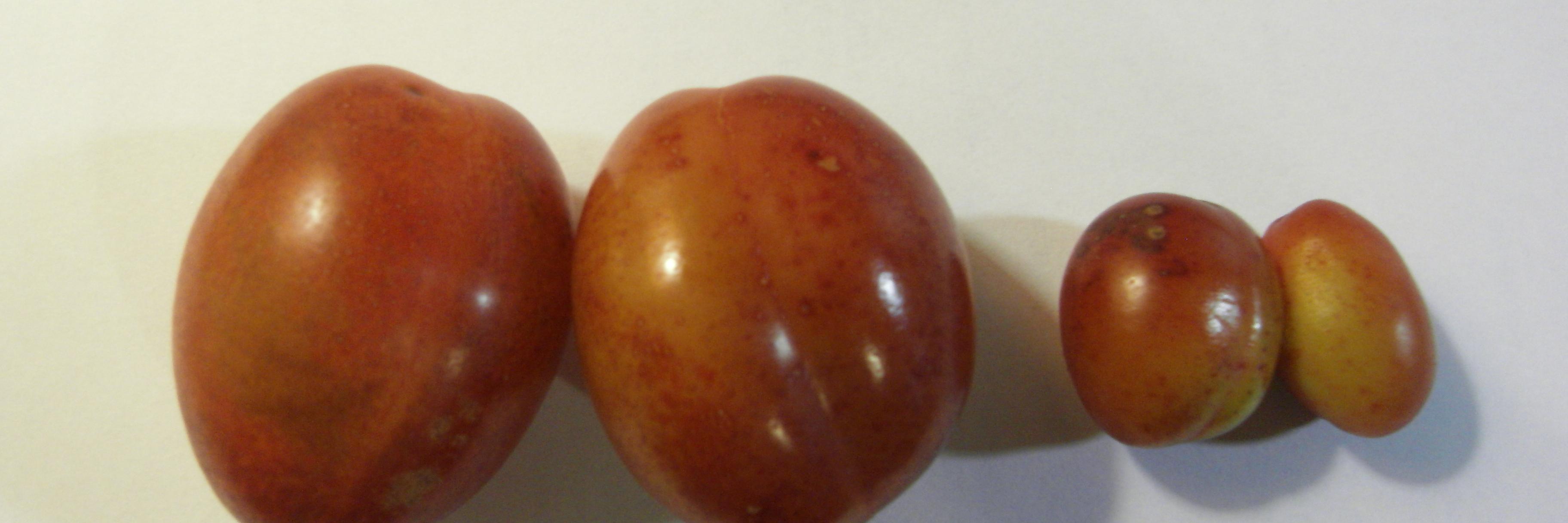 2smallballs's profile banner image