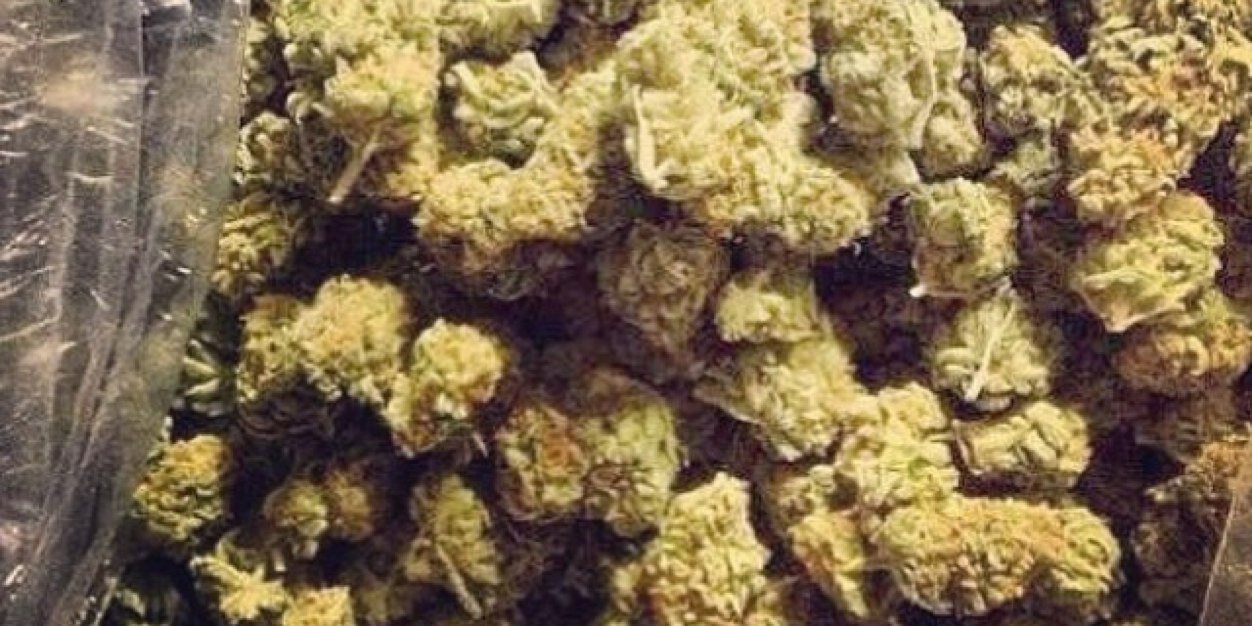 enjoyfinessin banner