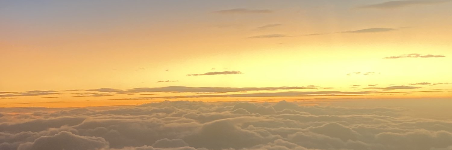 anisacoellom's profile banner image