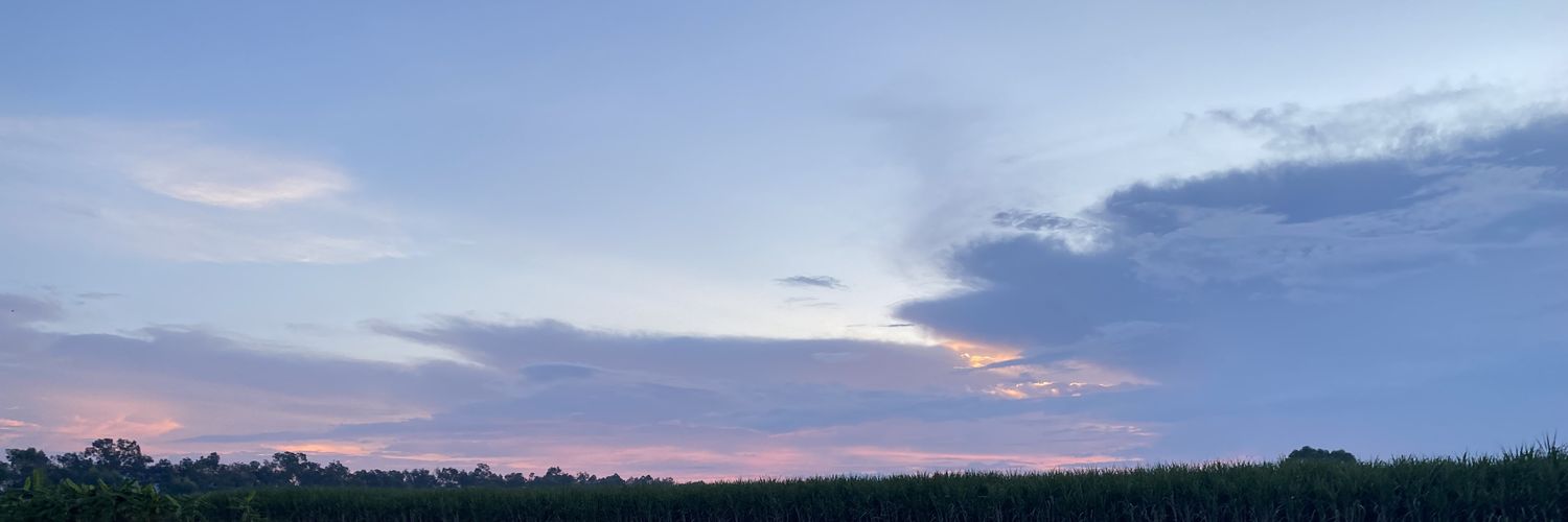 大无双 banner