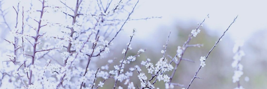 뽐이. banner