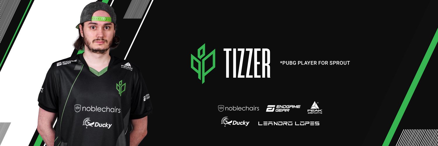 Tizzer banner
